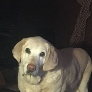 Meet your Posher, Deb